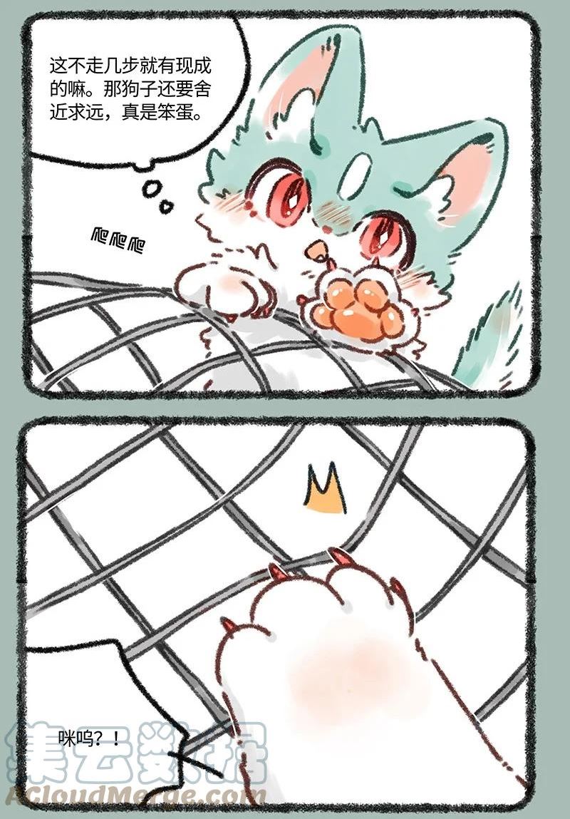 633 猫猫有爪初长成1
