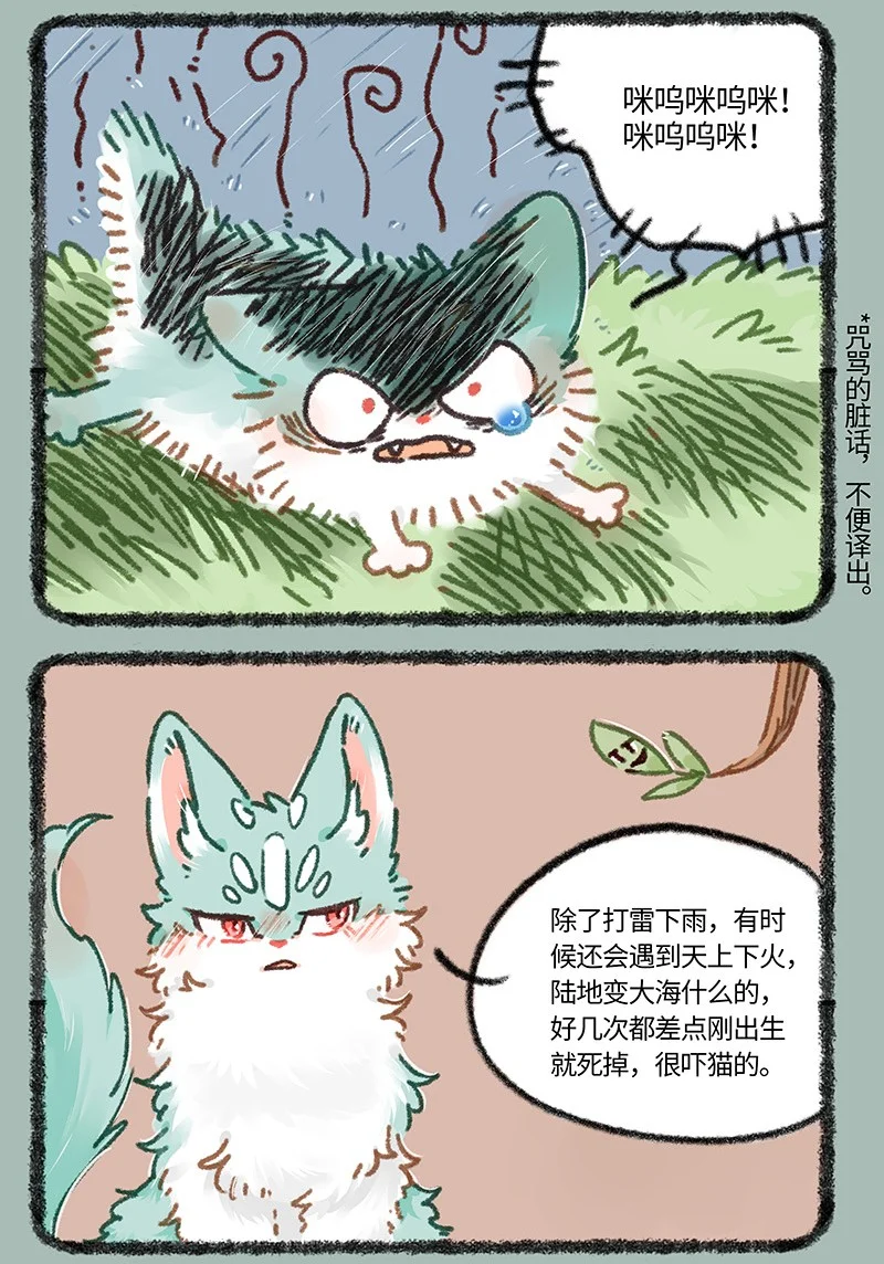 895 猫猫泪的童年阴影4