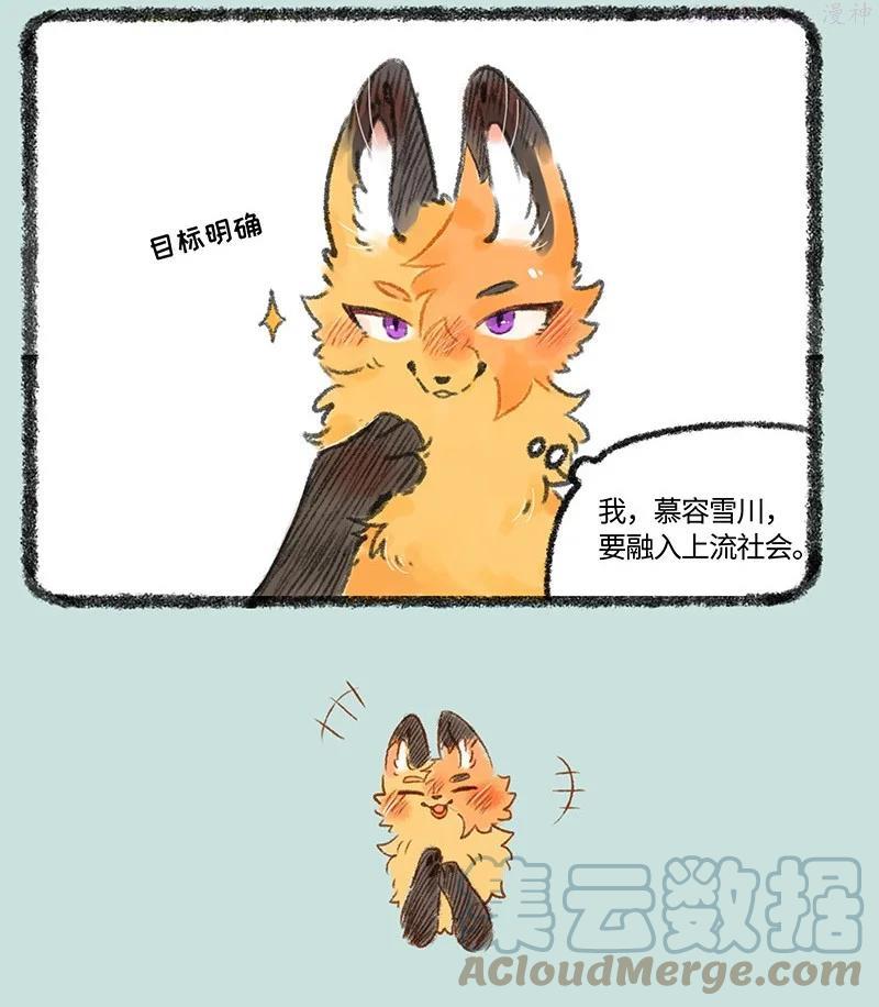538 狐狸精登场3