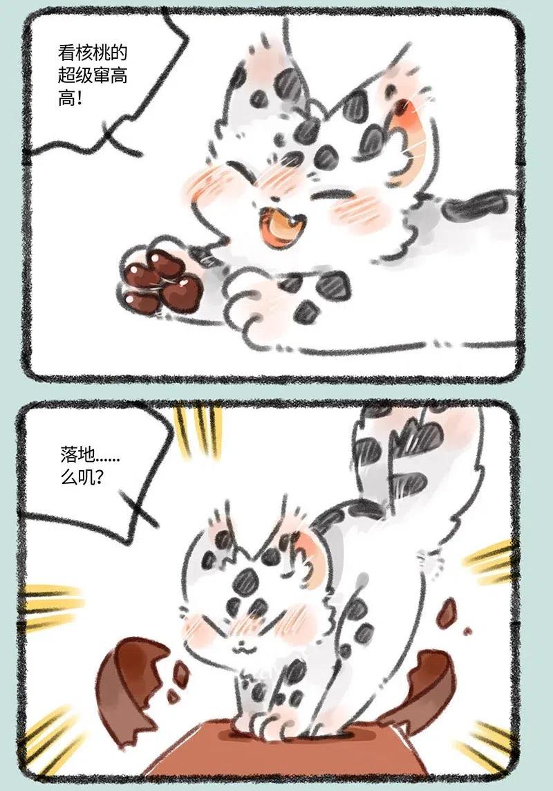 358 伪造1