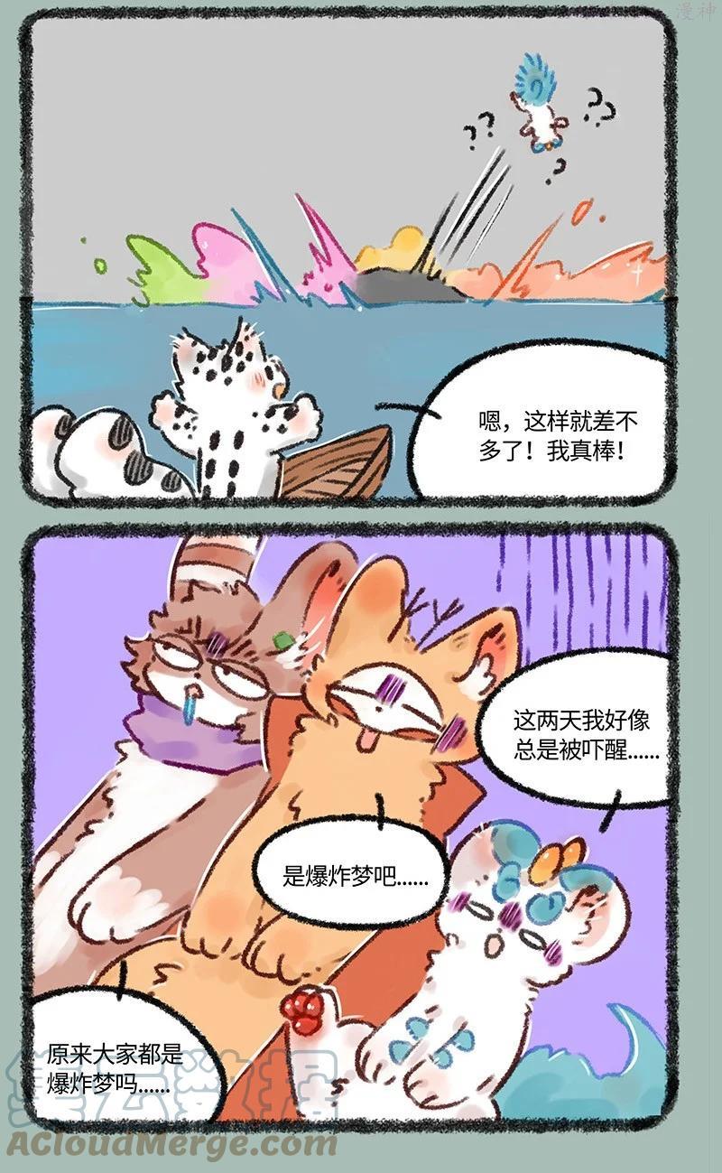 553 送给福仔的礼物2