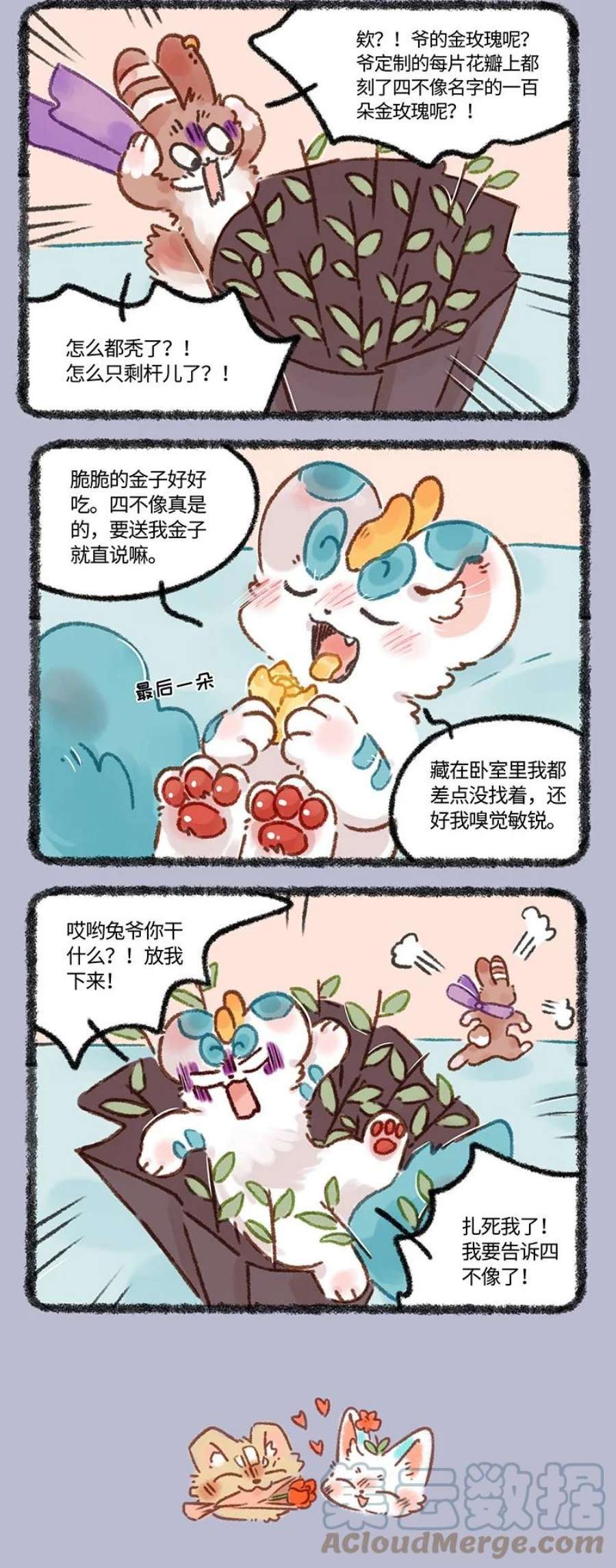 646 七夕玫瑰1