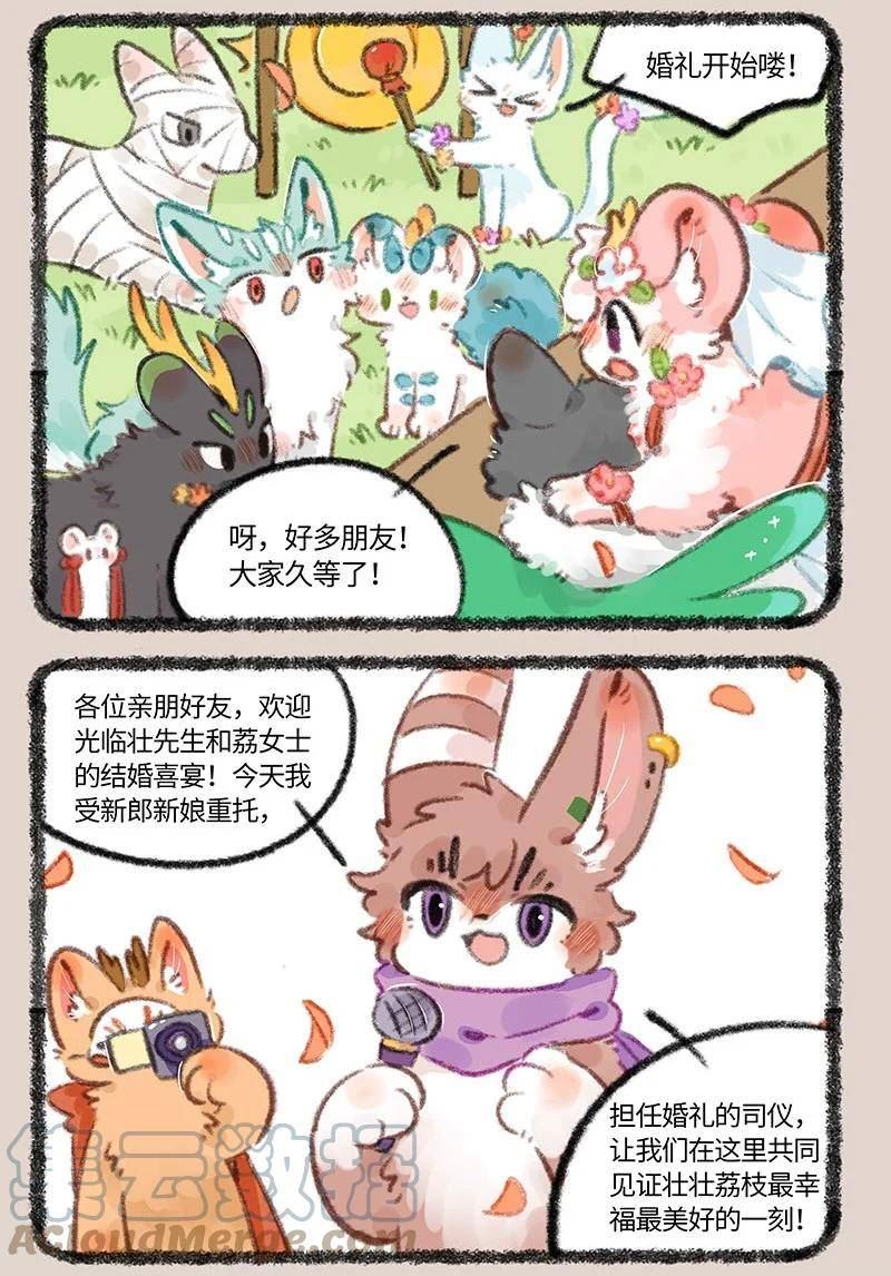 706 盛大的婚礼2