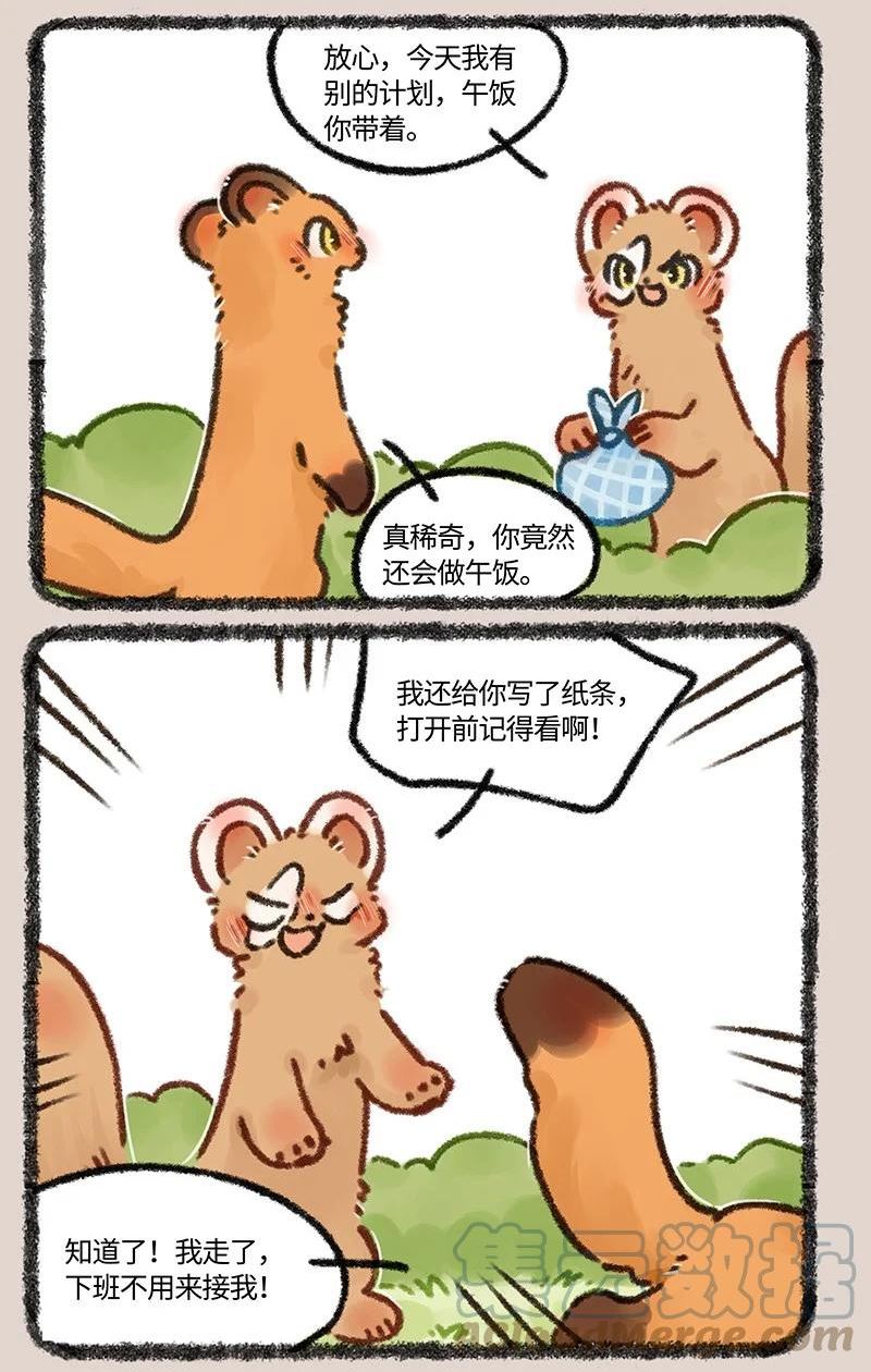 629 亲兄弟明算账0