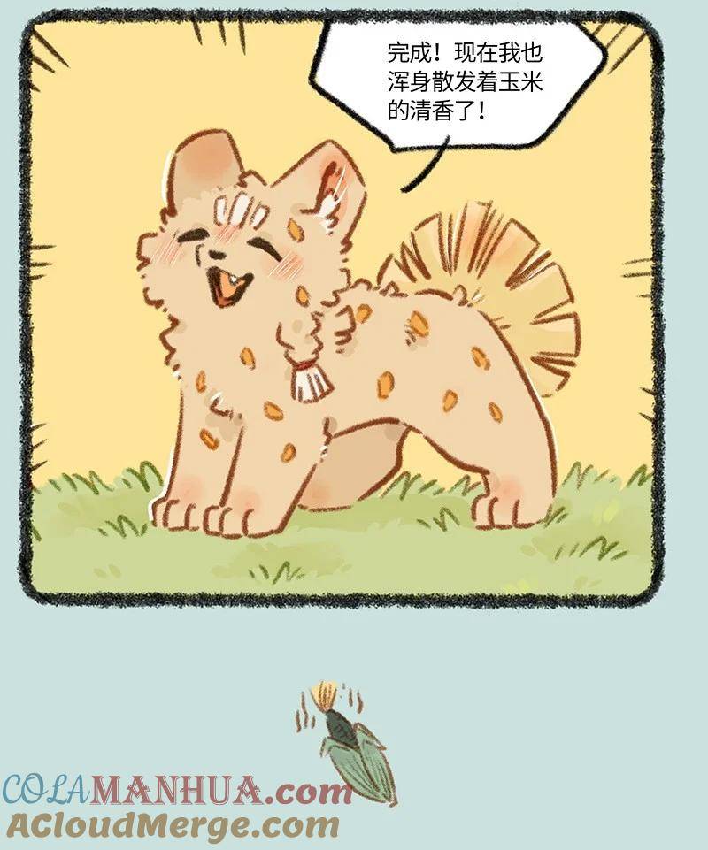 795 刍狗新时尚3