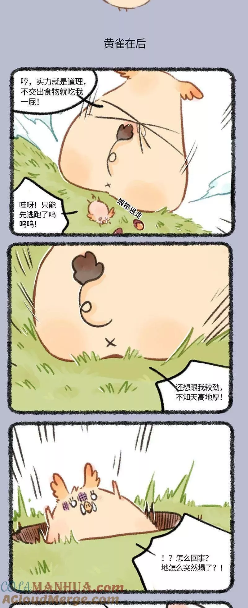 761 嚣张大猪1