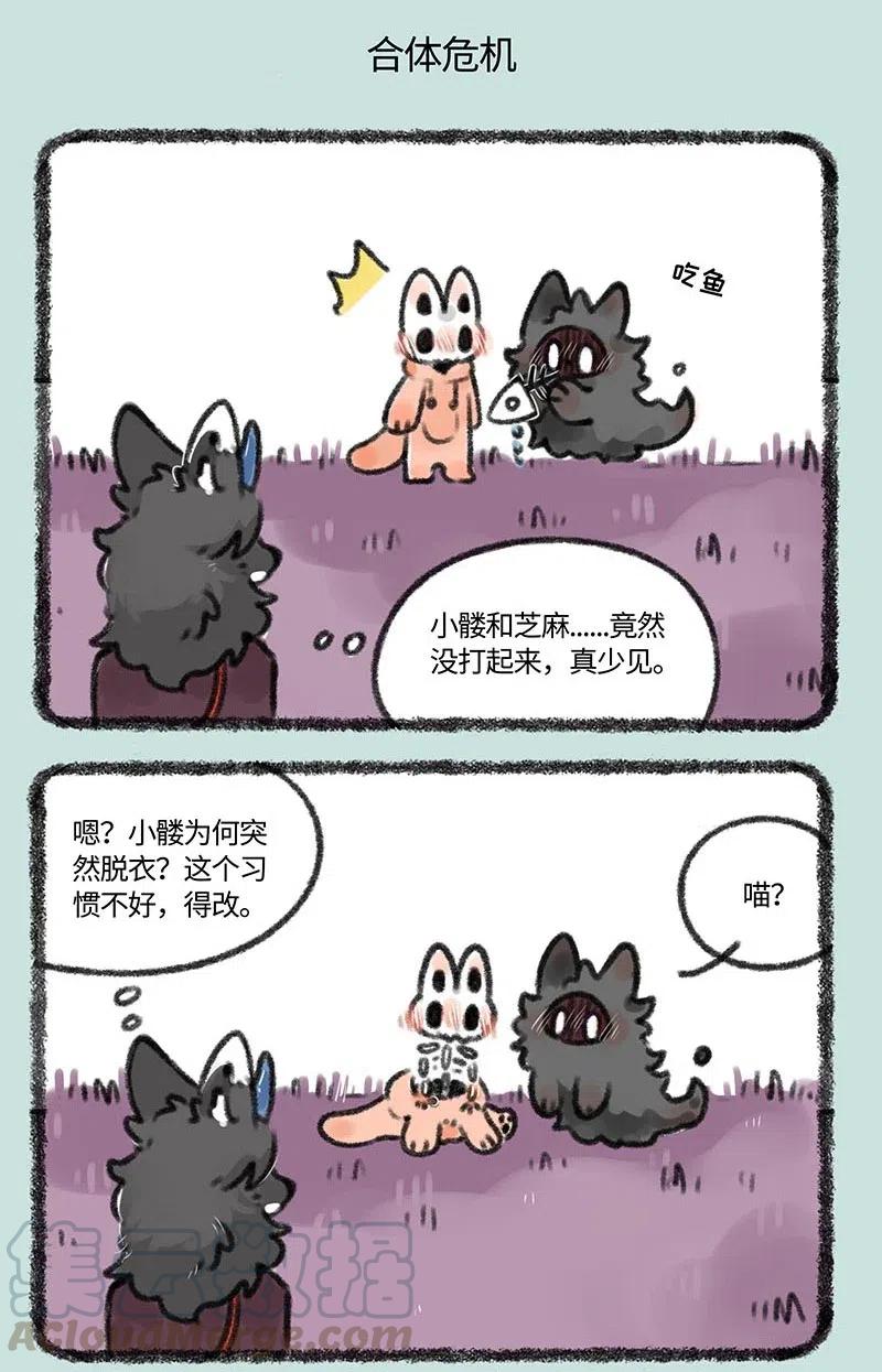 379 猫猫战争4