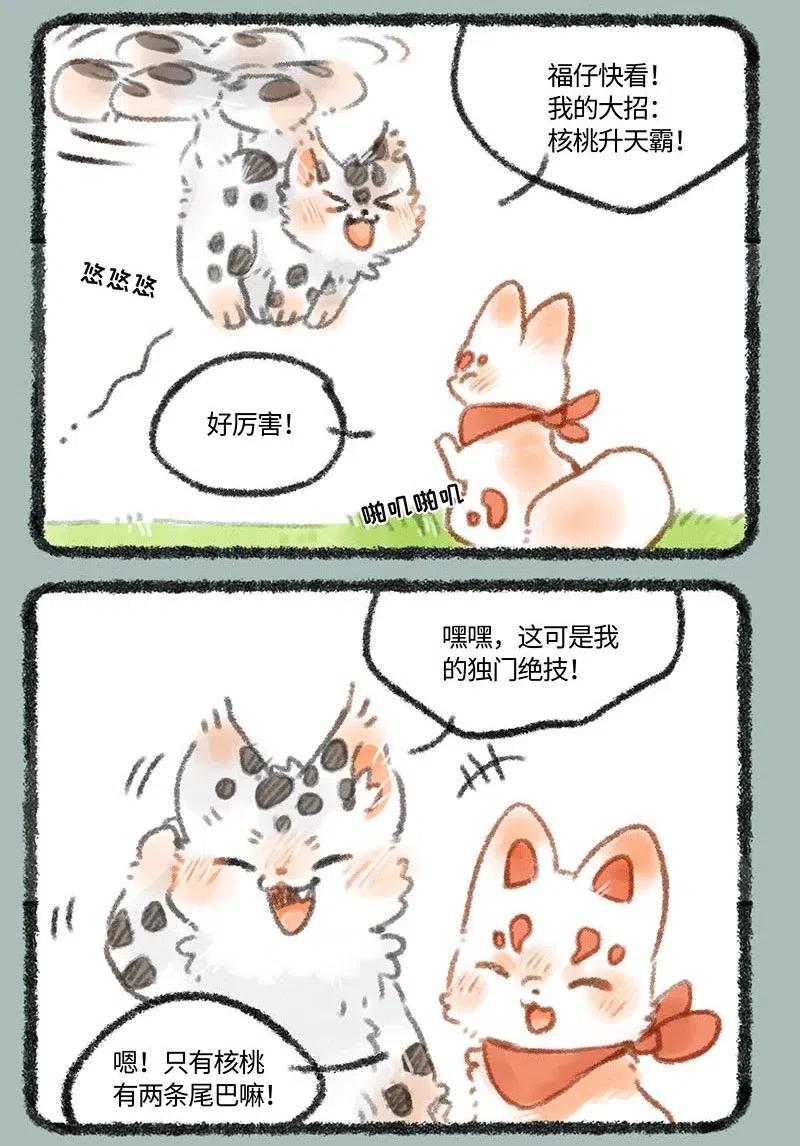 253 尾巴的功能0