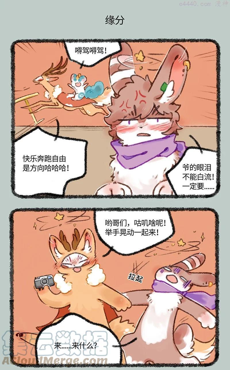 515 有缘千里来相会4