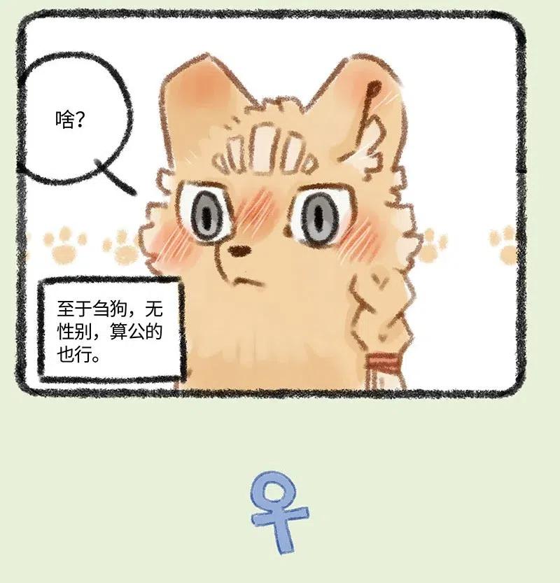 294 他她3