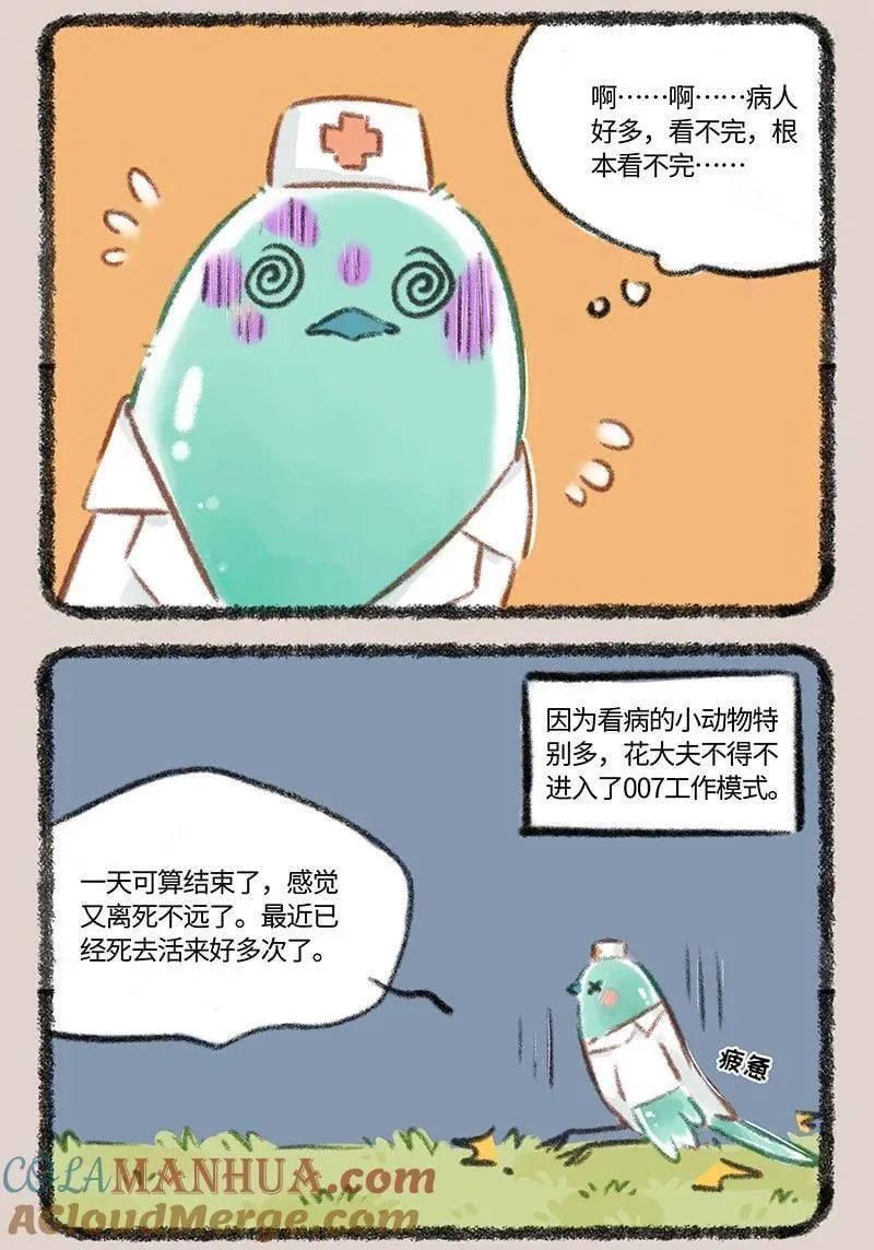 805 花蕊鸟的伪装1
