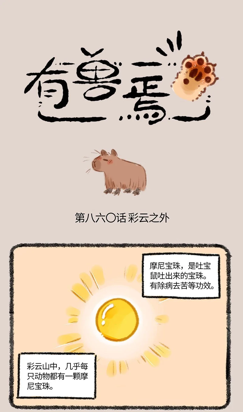 860 水豚的机遇1