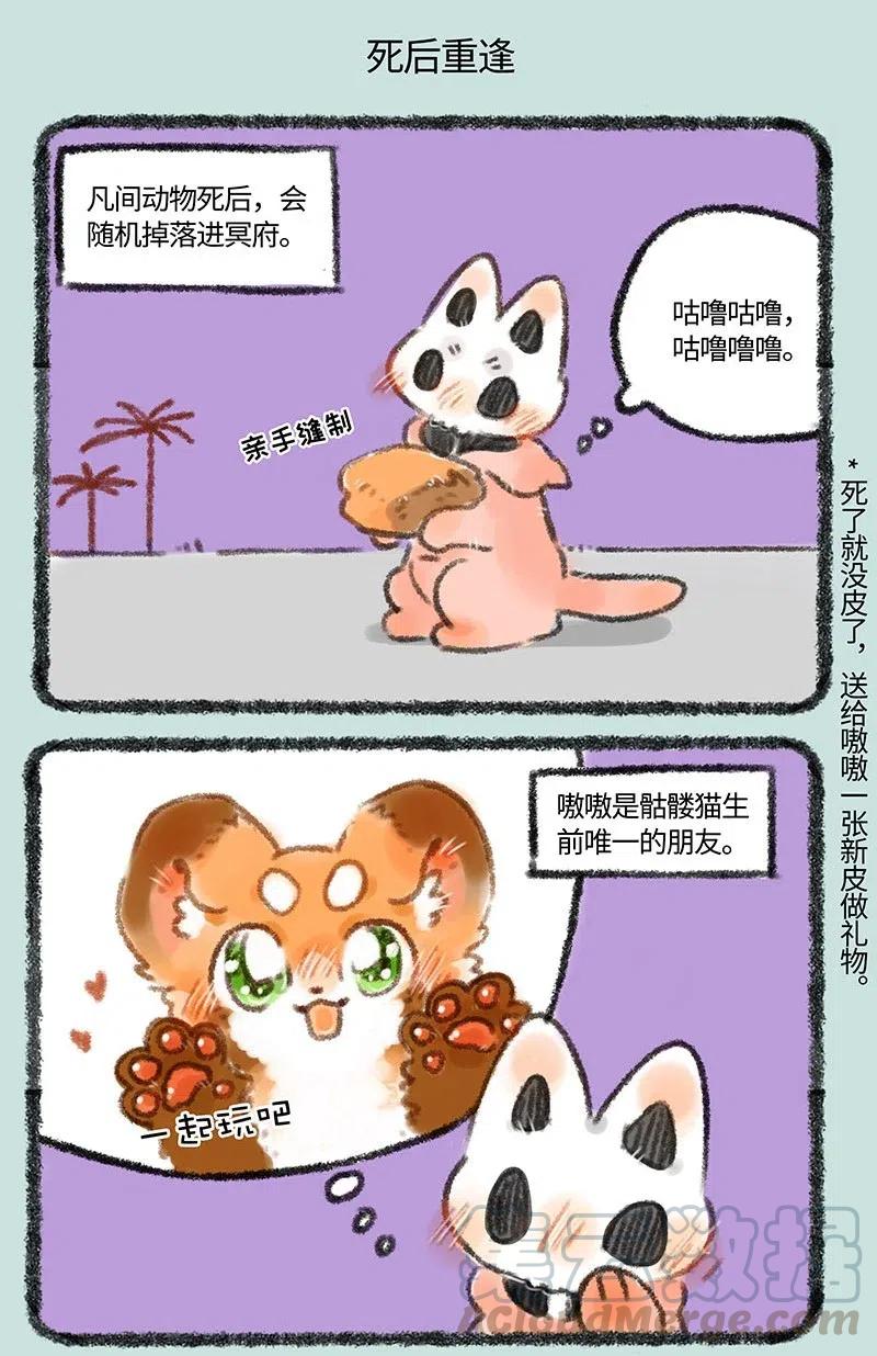 257 骷髅猫的熟人4