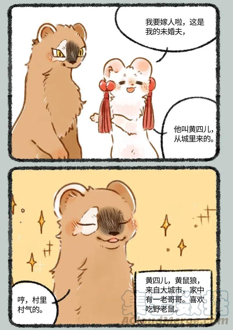 247 警惕黄鼠狼2