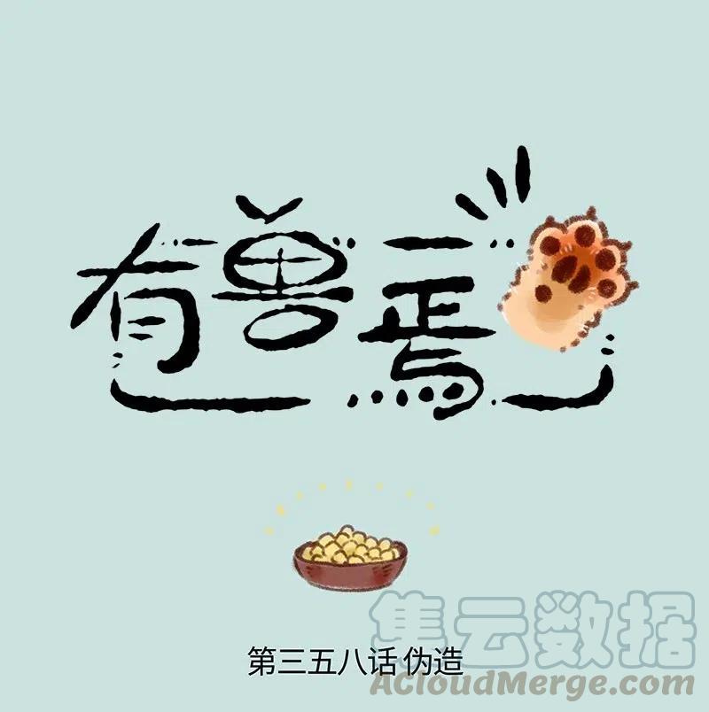 358 伪造0