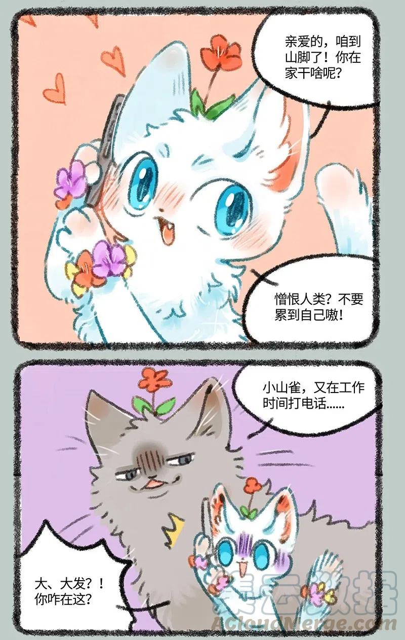439 被迫分居2