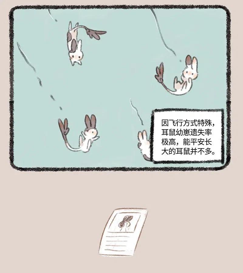 283 耳鼠3