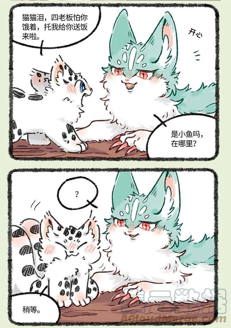 618 饥饿的猫猫类4