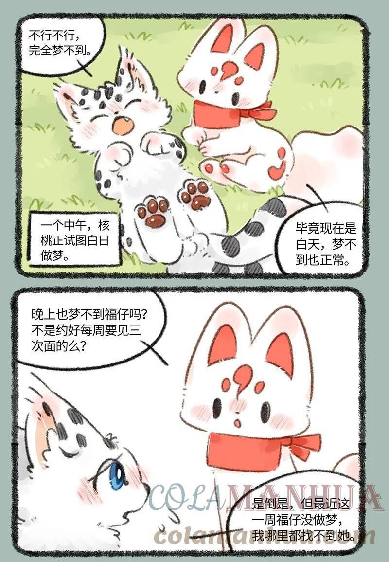 715 福仔回来啦1