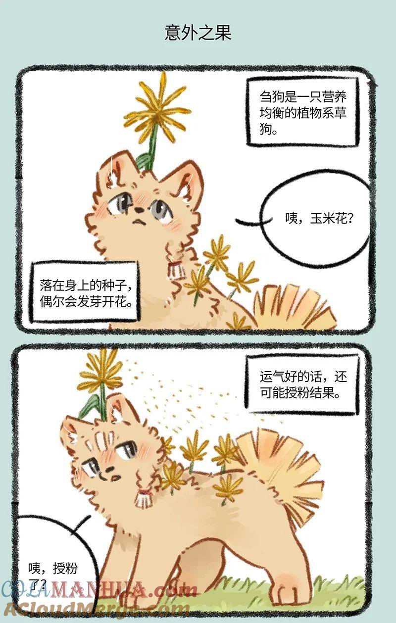 795 刍狗新时尚4