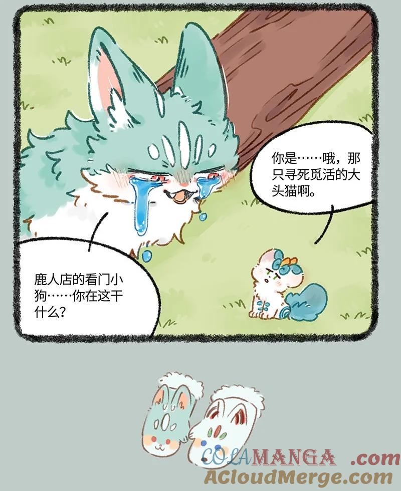 961 悲伤猫猫3