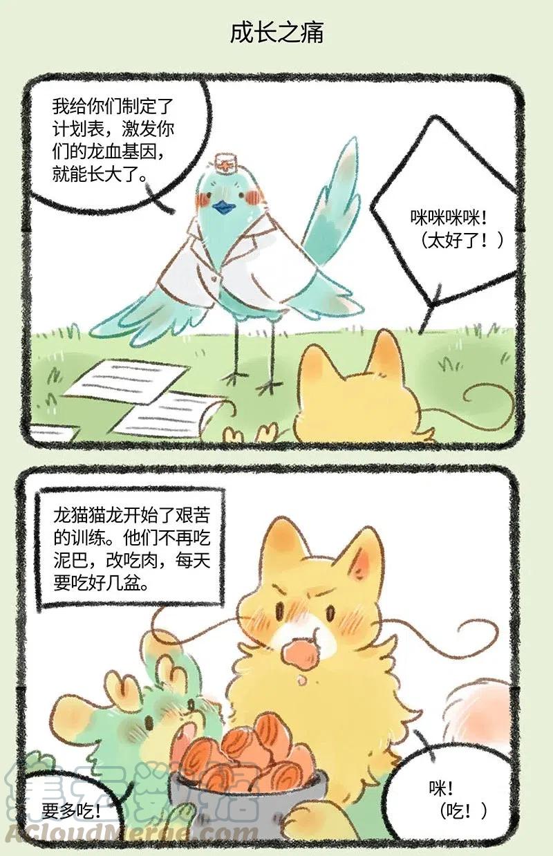 249 强身健体4