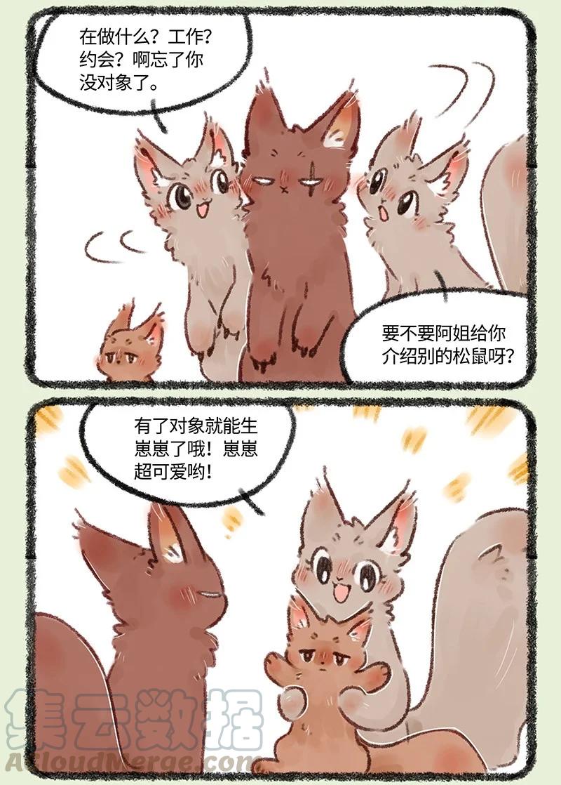 493 松鼠大哥的近况2