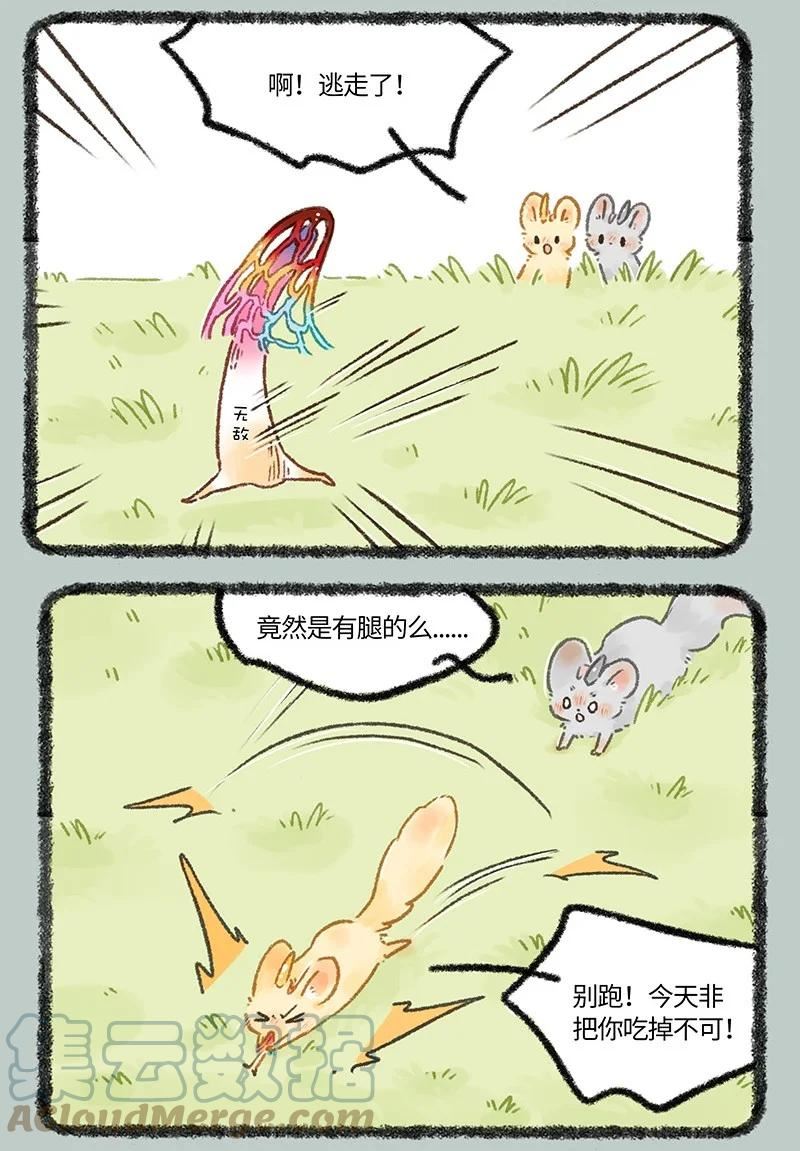 655 无敌菇4