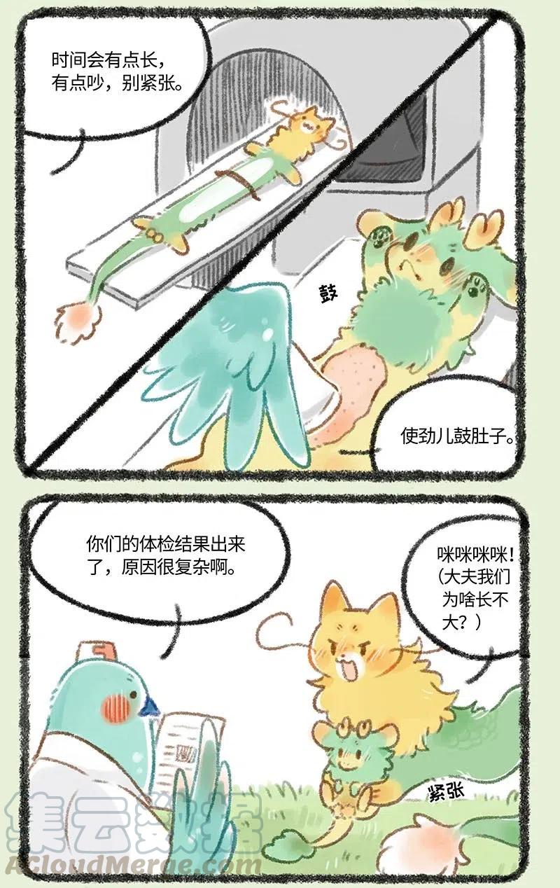 249 强身健体3