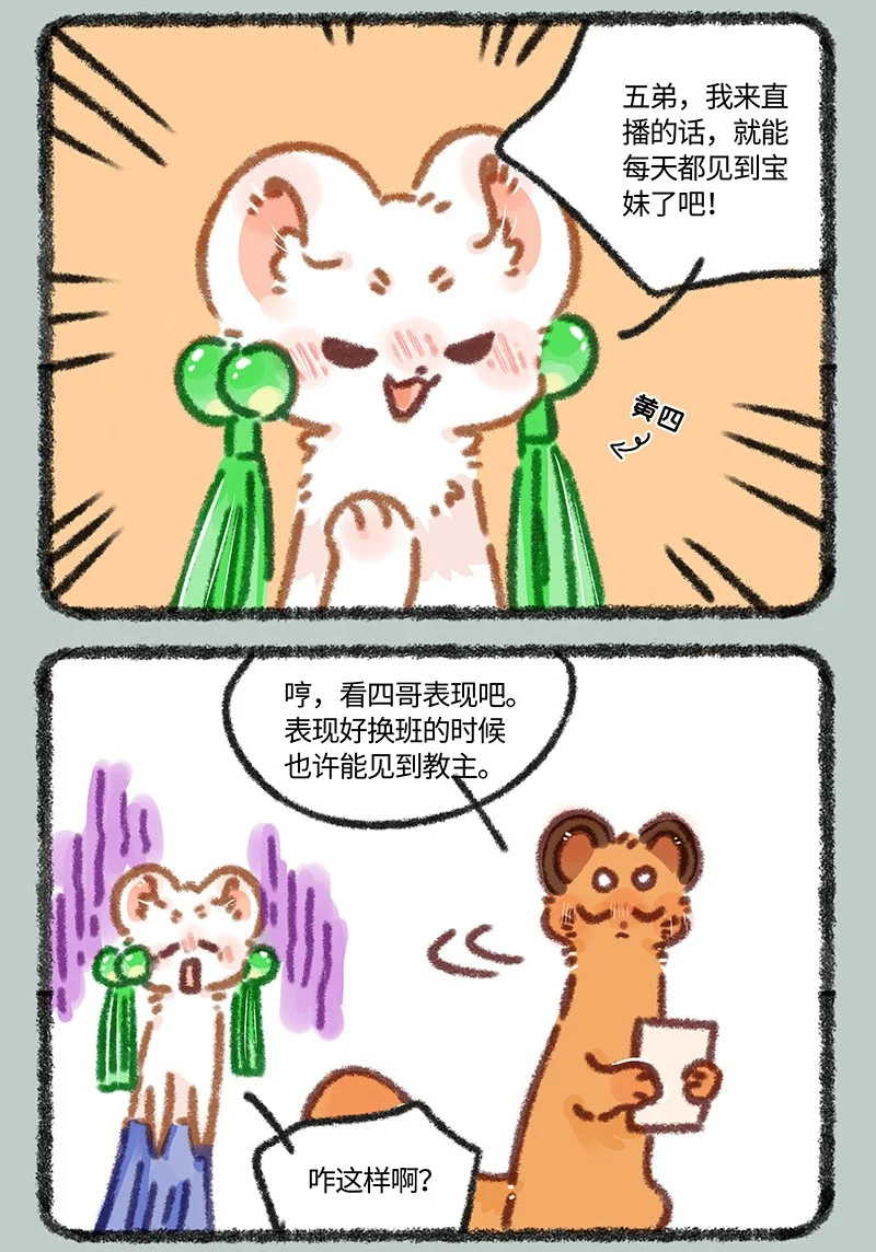 881 吐宝集团新主播4