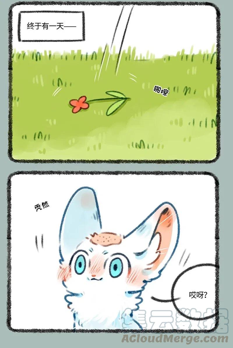 382 爱的舔舔1