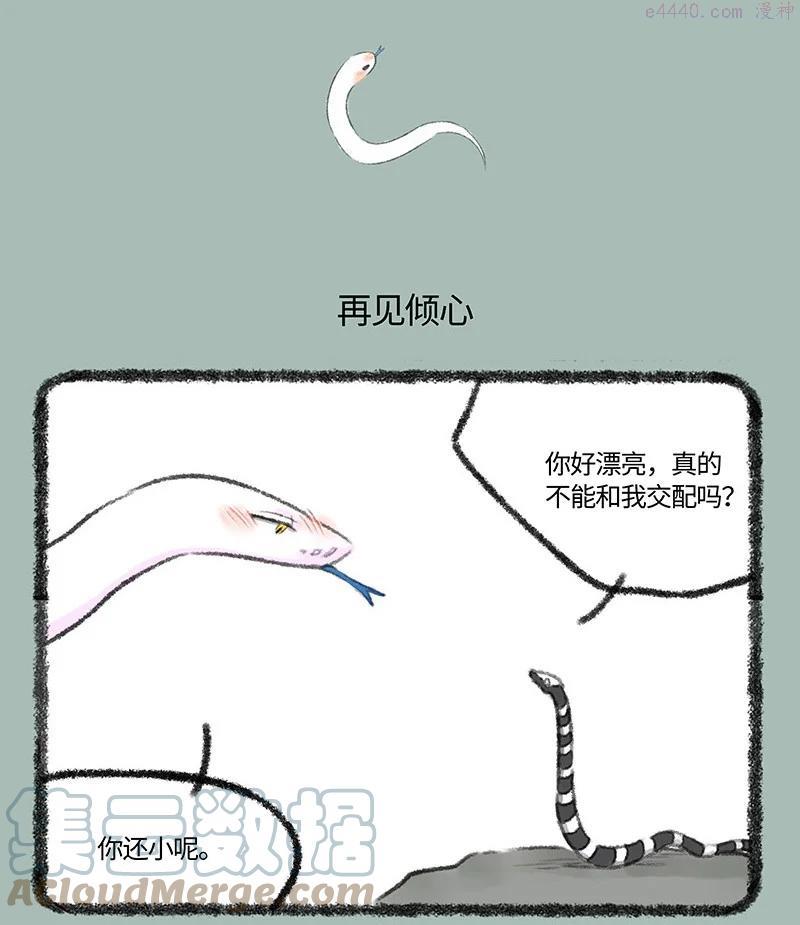 534 永州异蛇2