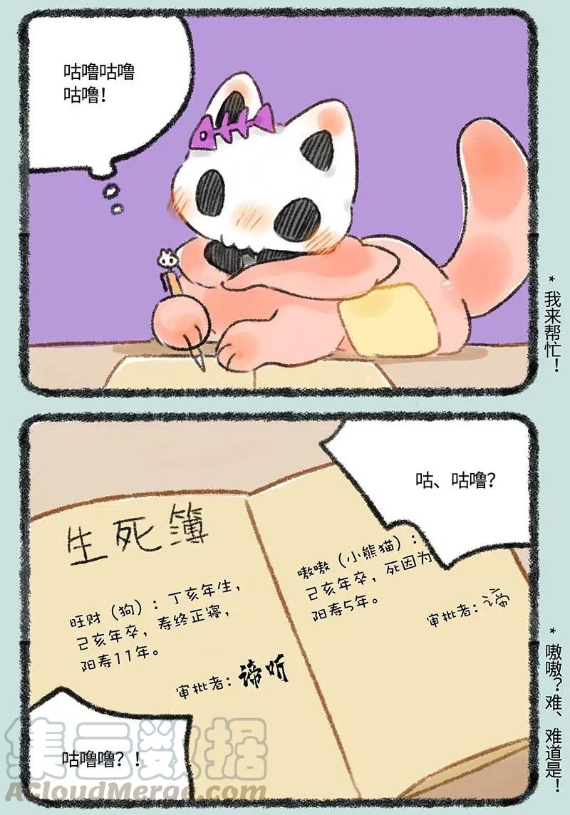 257 骷髅猫的熟人2