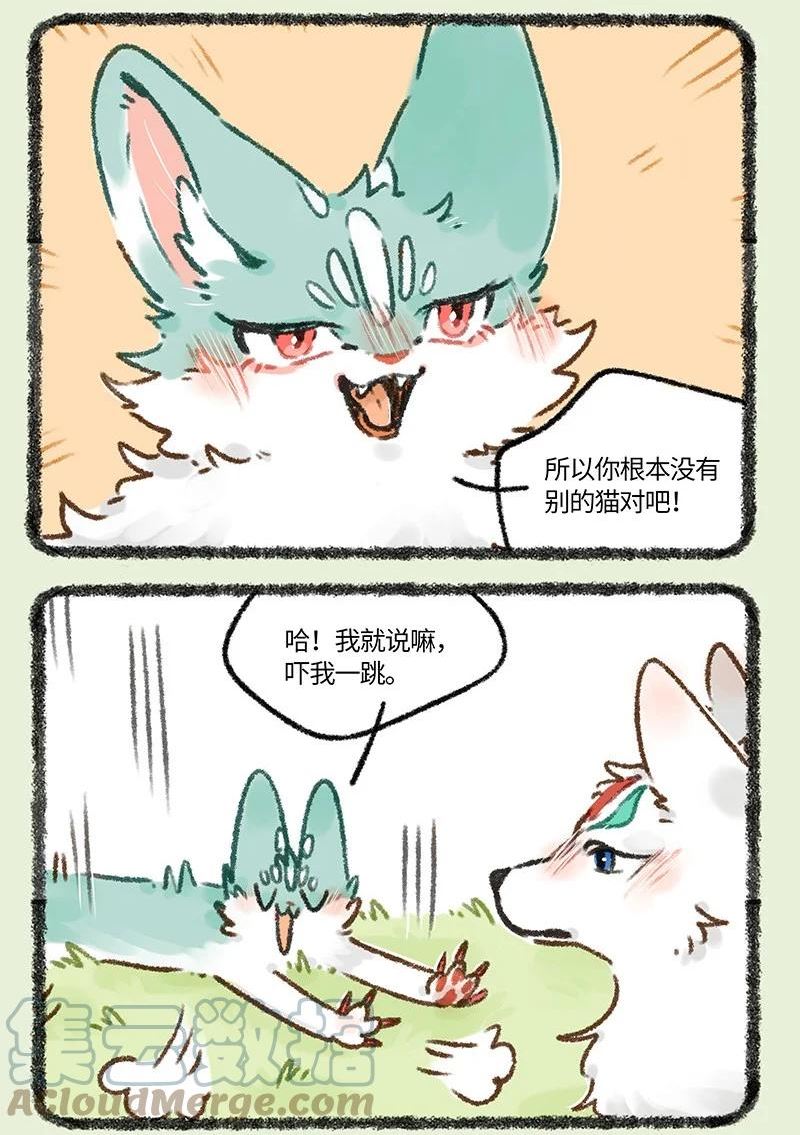 664 这种猫精埋了吧2