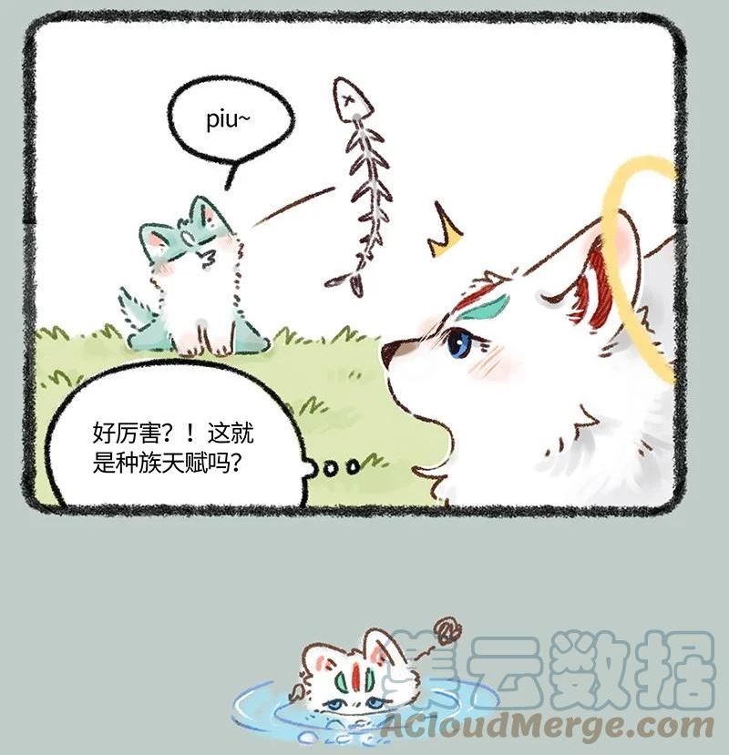 626 毛毛的成长日记3