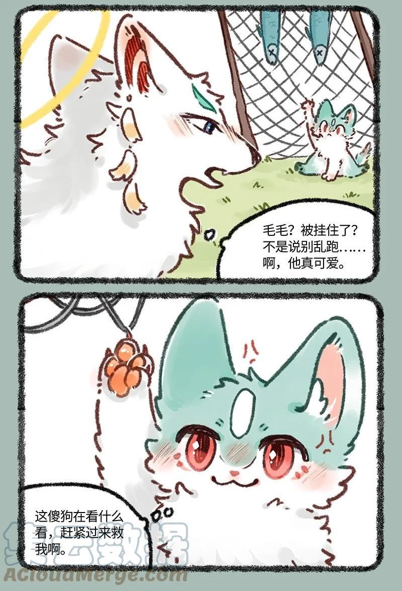 633 猫猫有爪初长成2