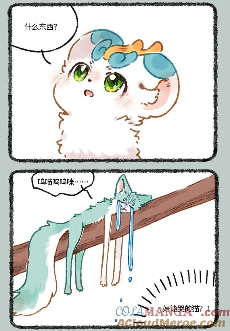961 悲伤猫猫2
