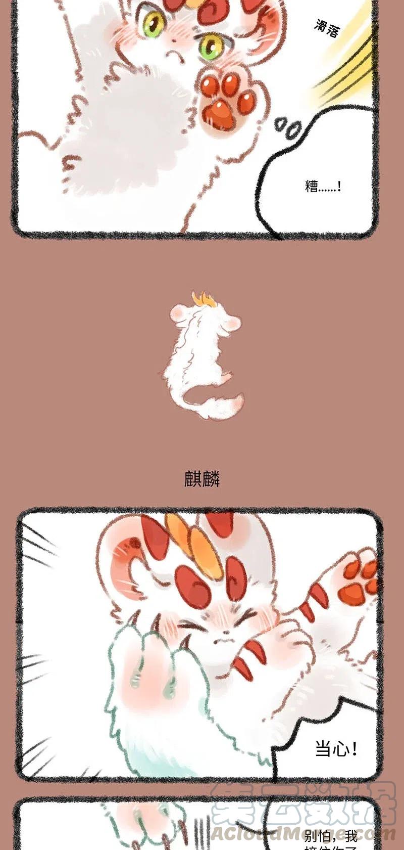 299 皮皮掉下山崖3