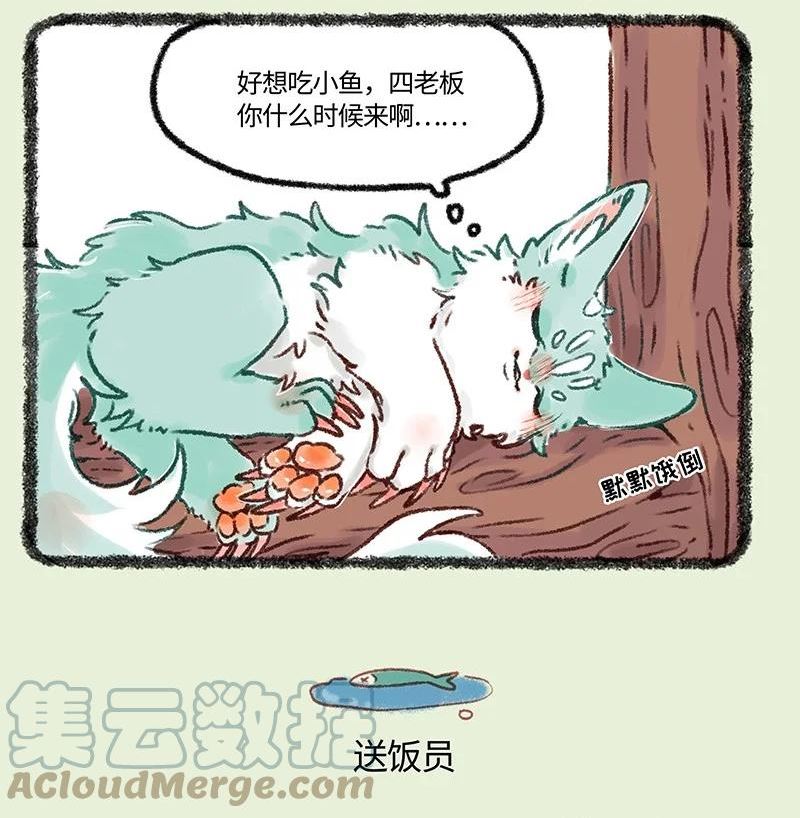 618 饥饿的猫猫类3