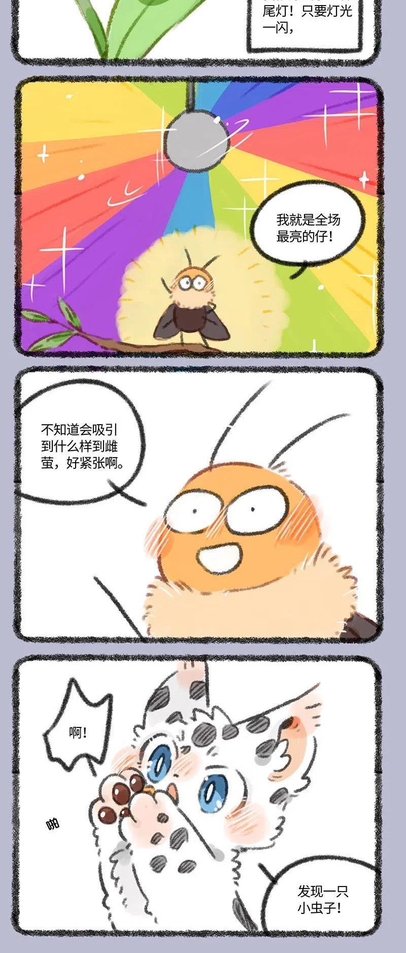 338 亮屁虫1