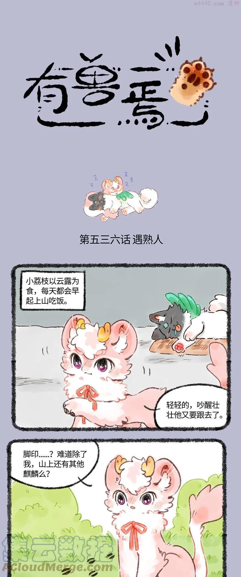 536 冷酷一姐小荔枝0