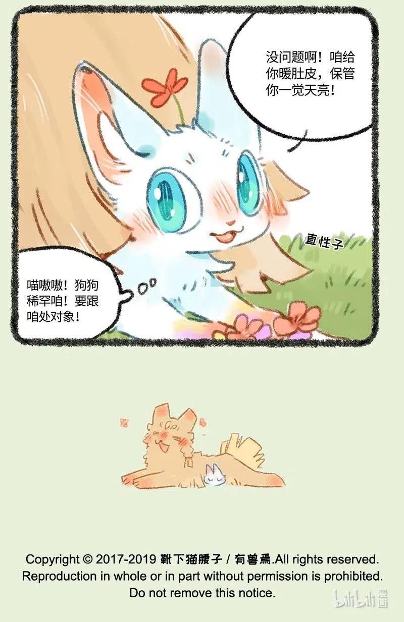 273 新来王者4