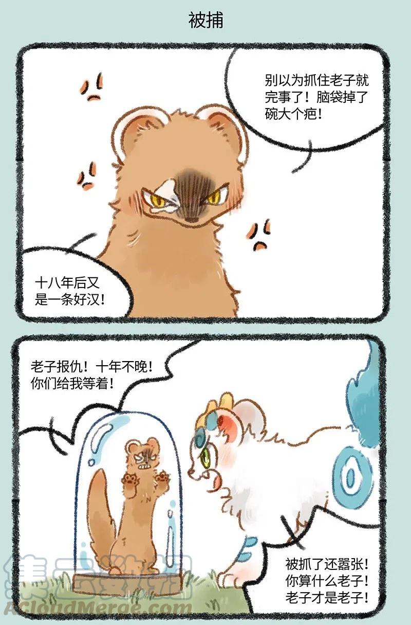 248 黄四儿的报复4