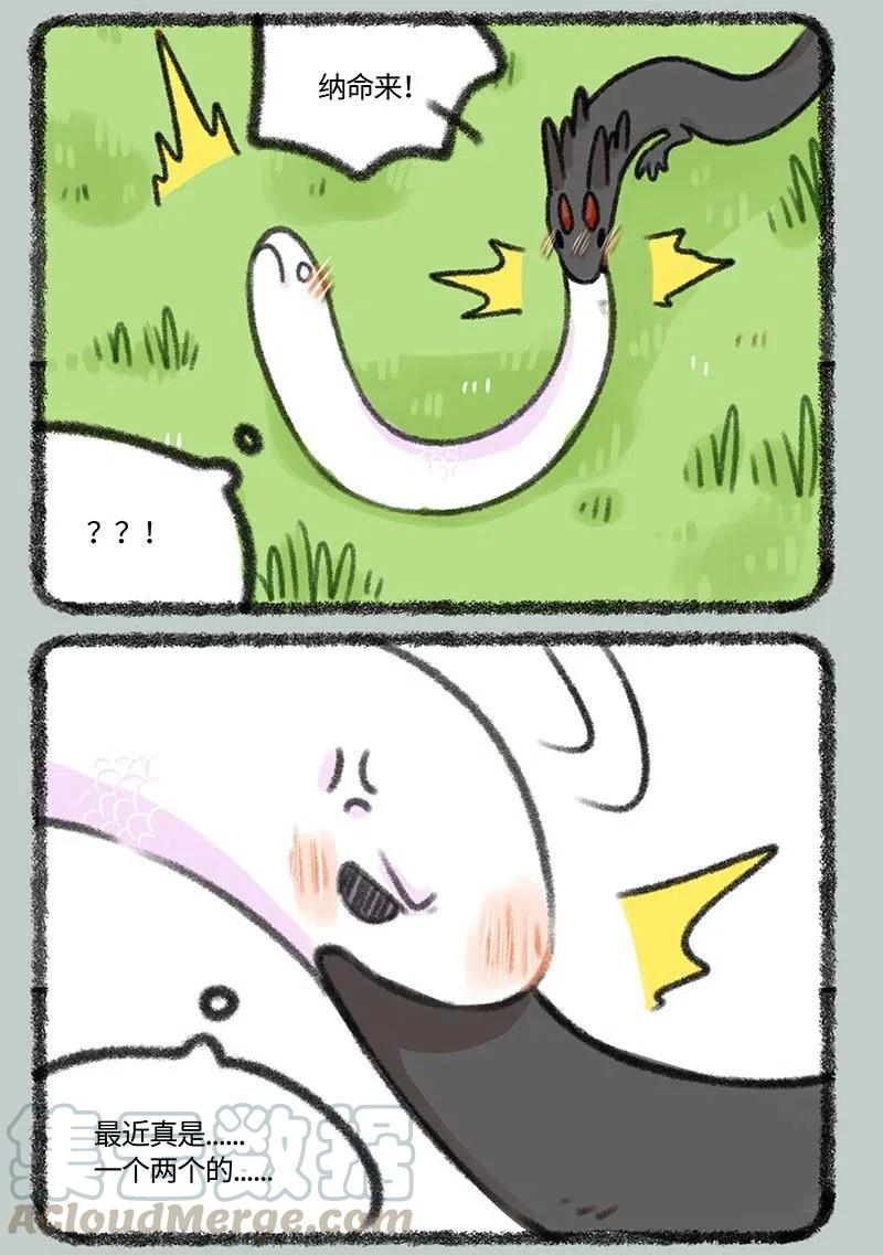 339 小水塘之争2