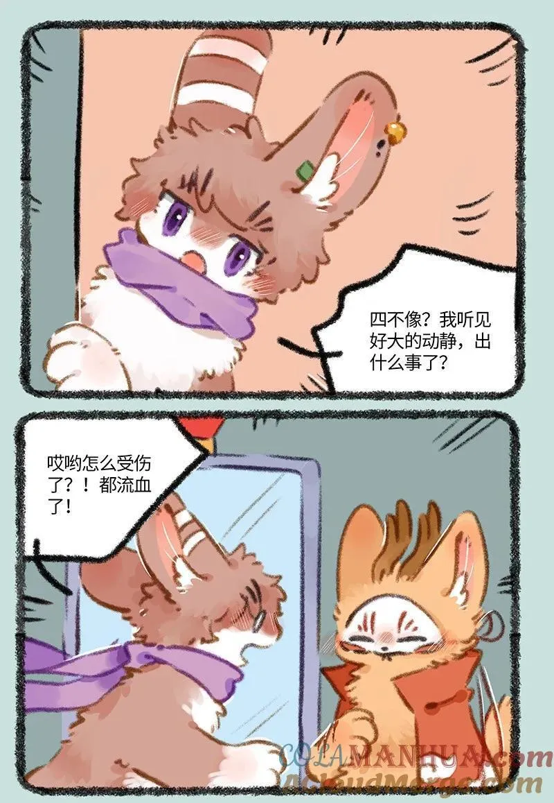 802 真正的模样1