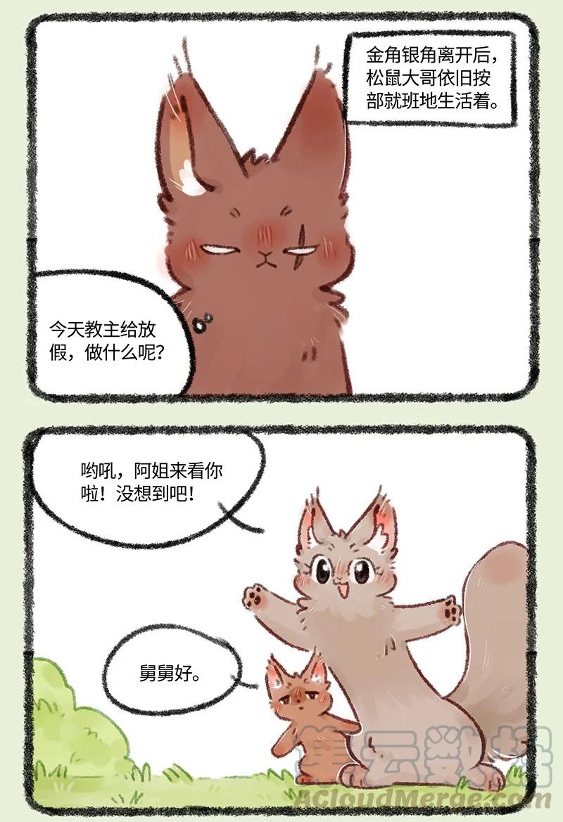 493 松鼠大哥的近况1