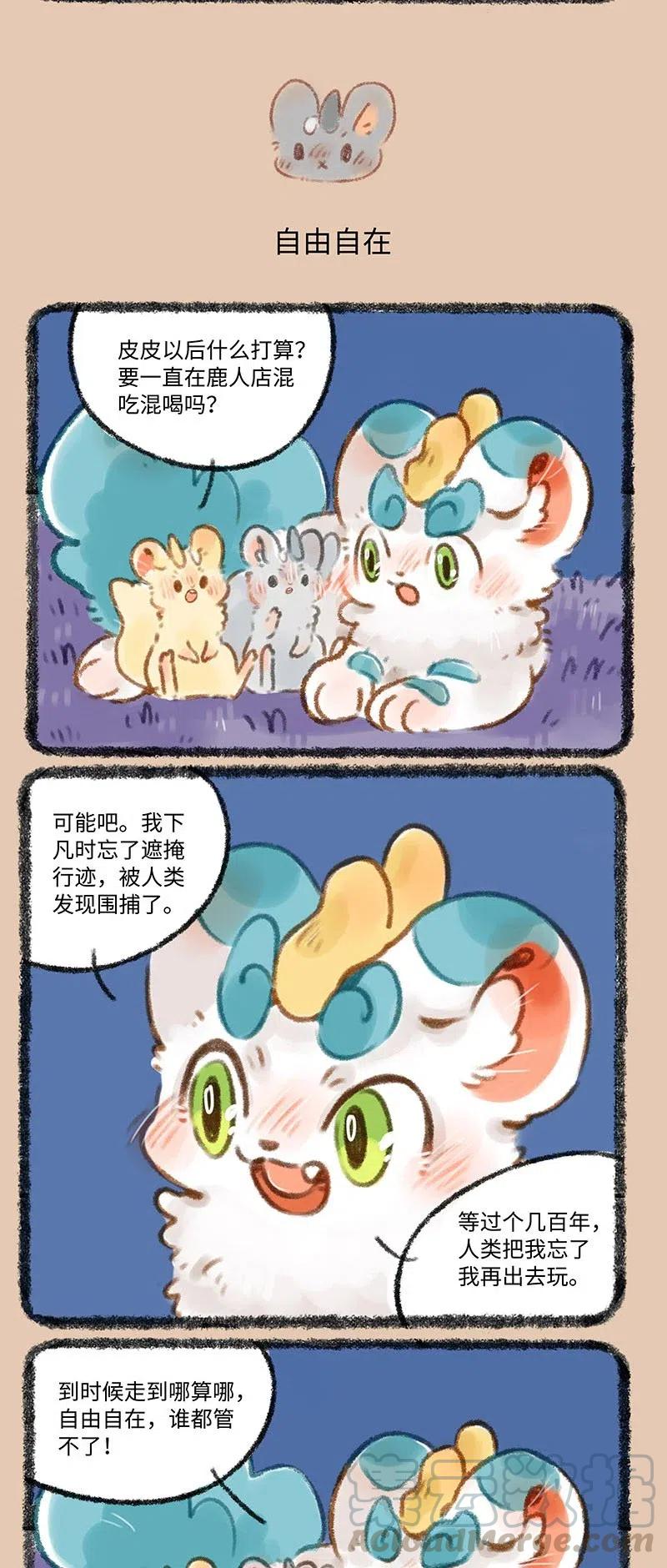 354 夏日闲谈1