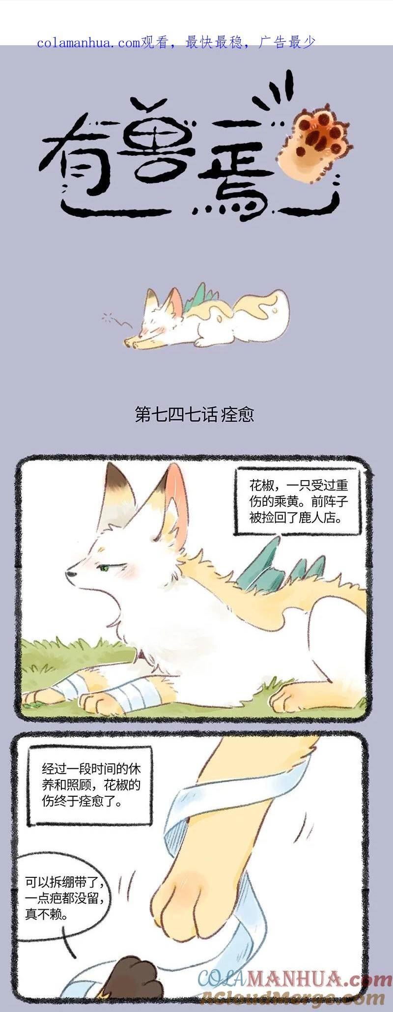 747 花椒痊愈了1