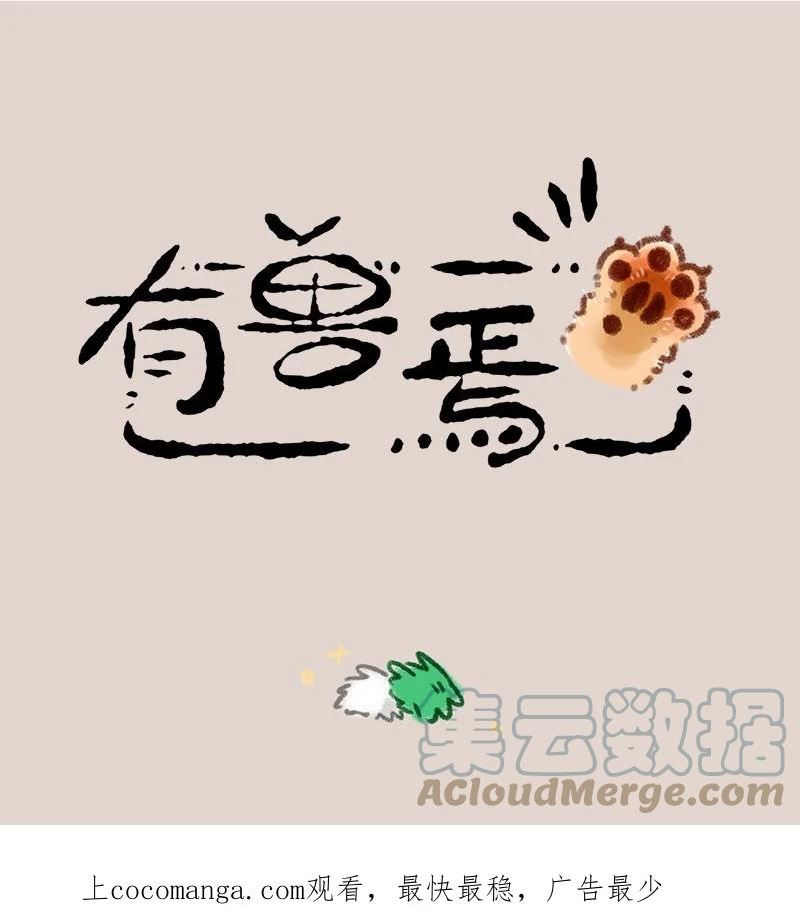 682 结婚礼物0