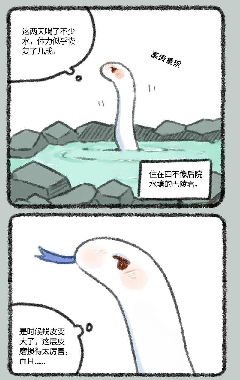 315 中毒1